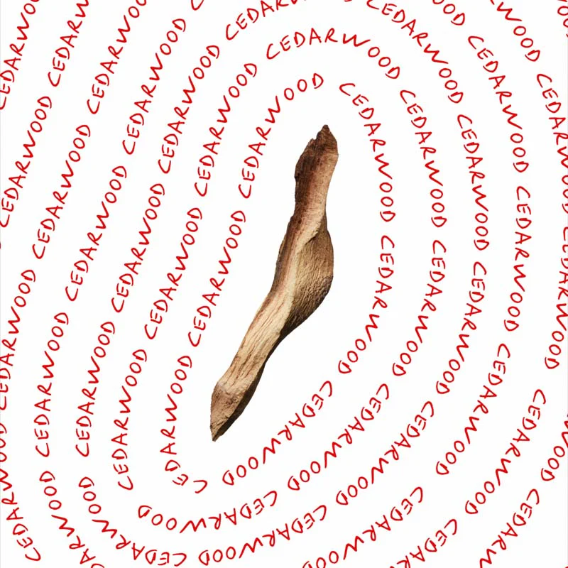 Immagine prodotto 13